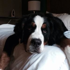 Meet your Posher, Jim